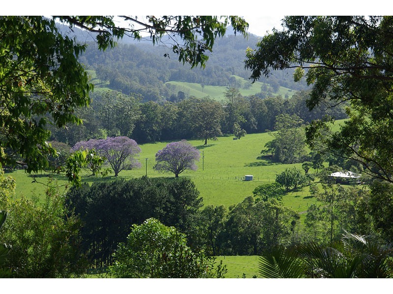 2749 Waterfall Way, Bellingen NSW 2454
