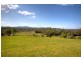 422 Martells Road, Bellingen NSW 2454