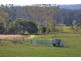 422 Martells Road, Bellingen NSW 2454