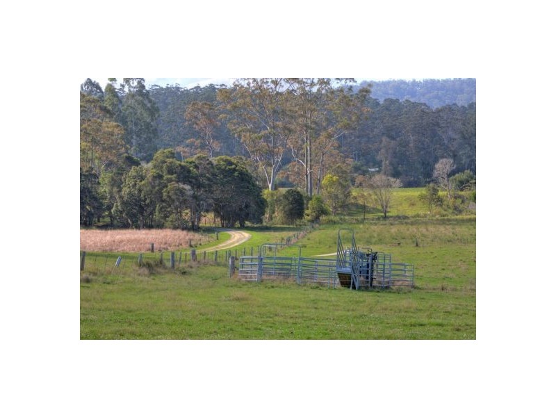 422 Martells Road, Bellingen NSW 2454