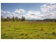 422 Martells Road, Bellingen NSW 2454