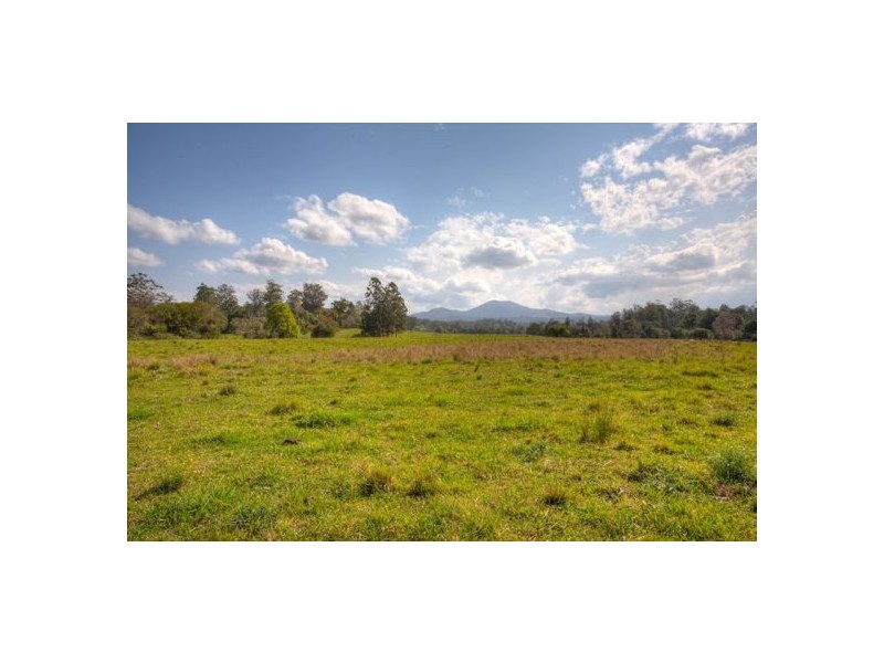 422 Martells Road, Bellingen NSW 2454