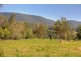 422 Martells Road, Bellingen NSW 2454