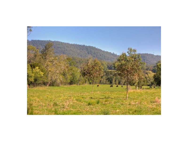 422 Martells Road, Bellingen NSW 2454