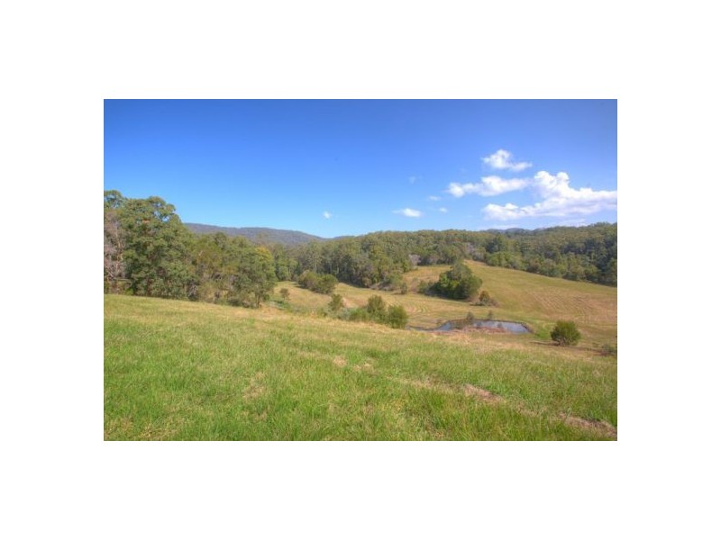 422 Martells Road, Bellingen NSW 2454