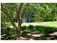 2 Perrys Road Repton, Bellingen NSW 2454