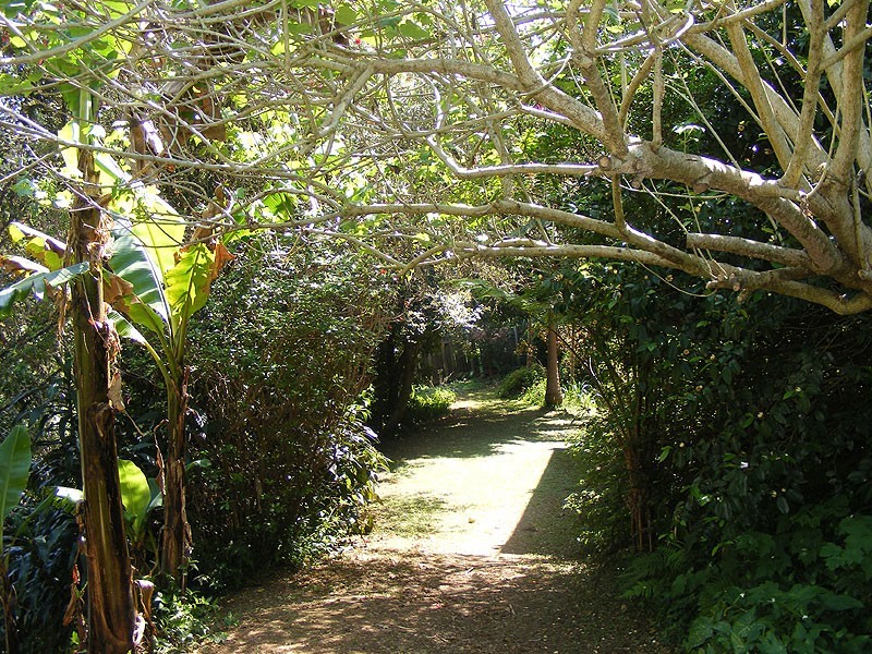 2 Casuarina Ave, Bellingen NSW 2454
