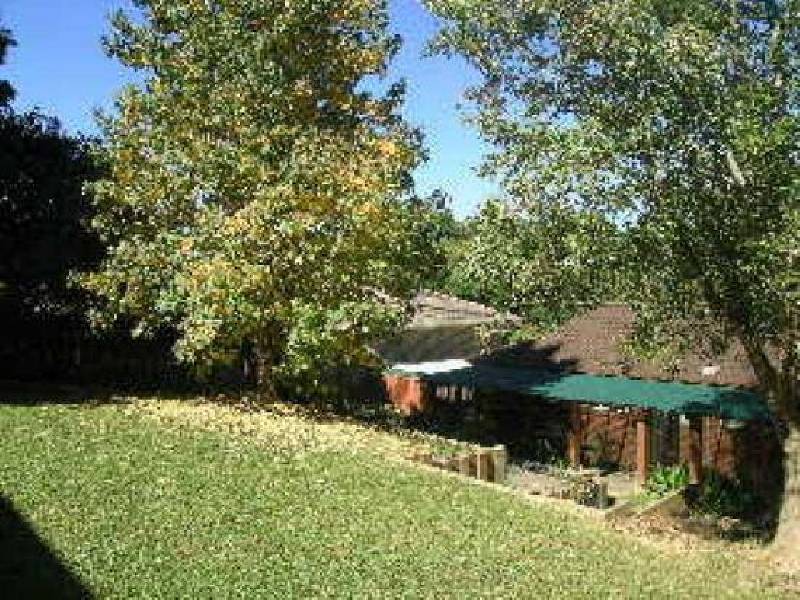 14 Halpin Street, Bellingen NSW 2454