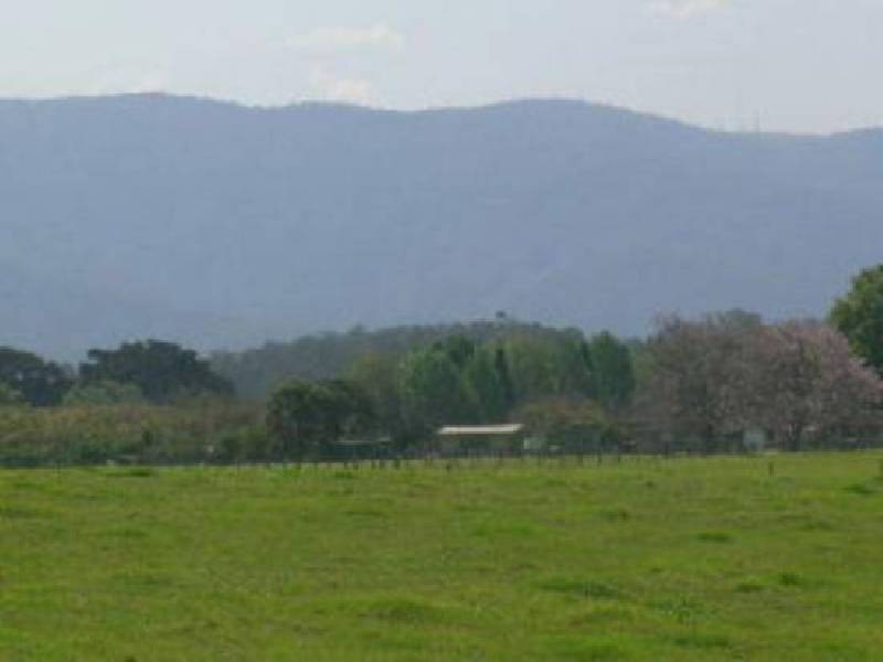 1577 Waterfall Way, Bellingen NSW 2454