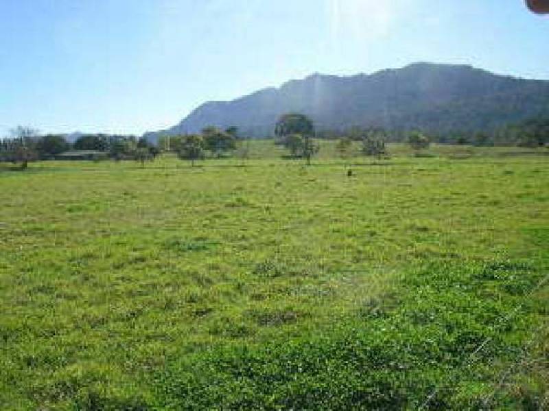 635 Gordonville Road, Bellingen NSW 2454