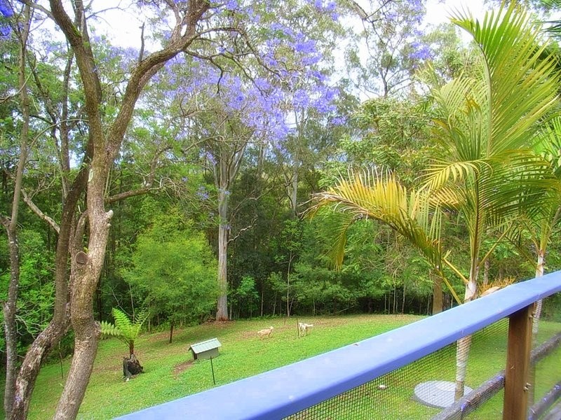 50 William Street, Bellingen NSW 2454