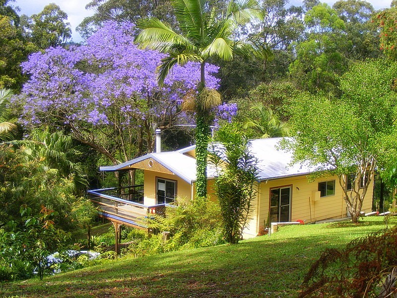 50 William Street, Bellingen NSW 2454