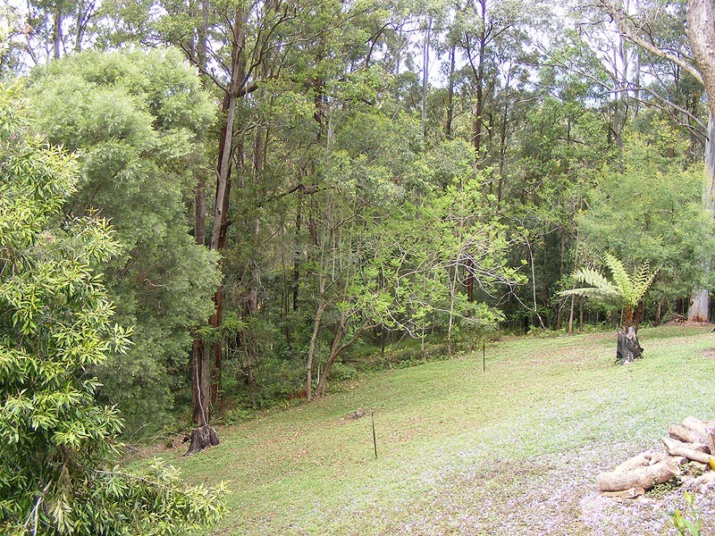 50 William Street, Bellingen NSW 2454