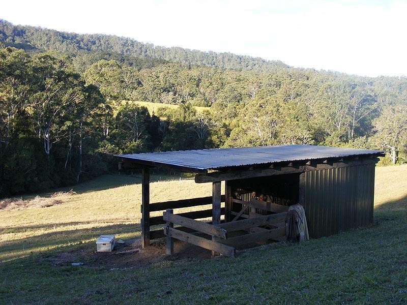 595 Bowraville Road, Bellingen NSW 2454