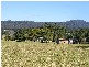 Bellingen NSW 2454
