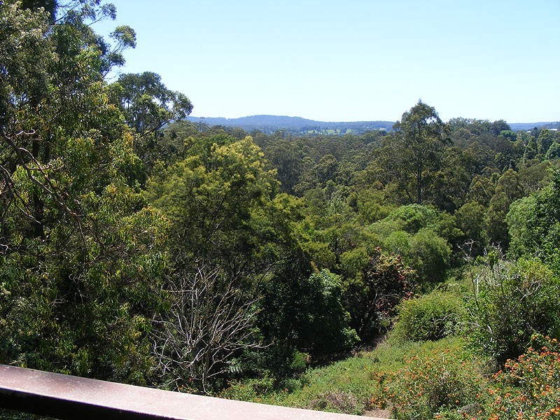 11 Martins Road, Bellingen NSW 2454