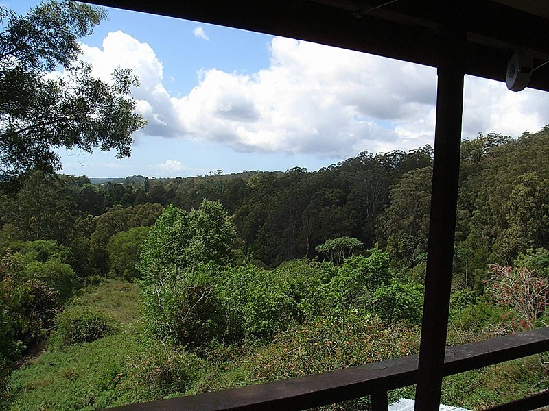 11 Martins Road, Bellingen NSW 2454