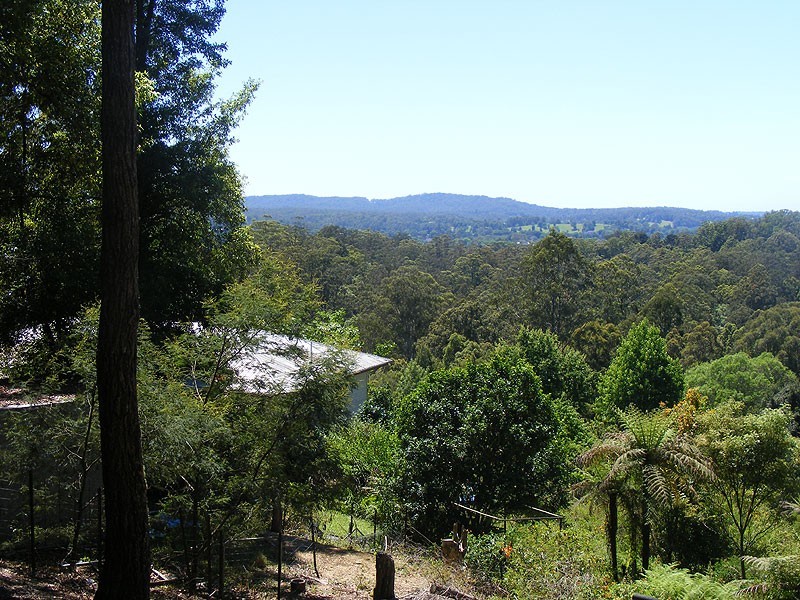 11 Martins Road, Bellingen NSW 2454