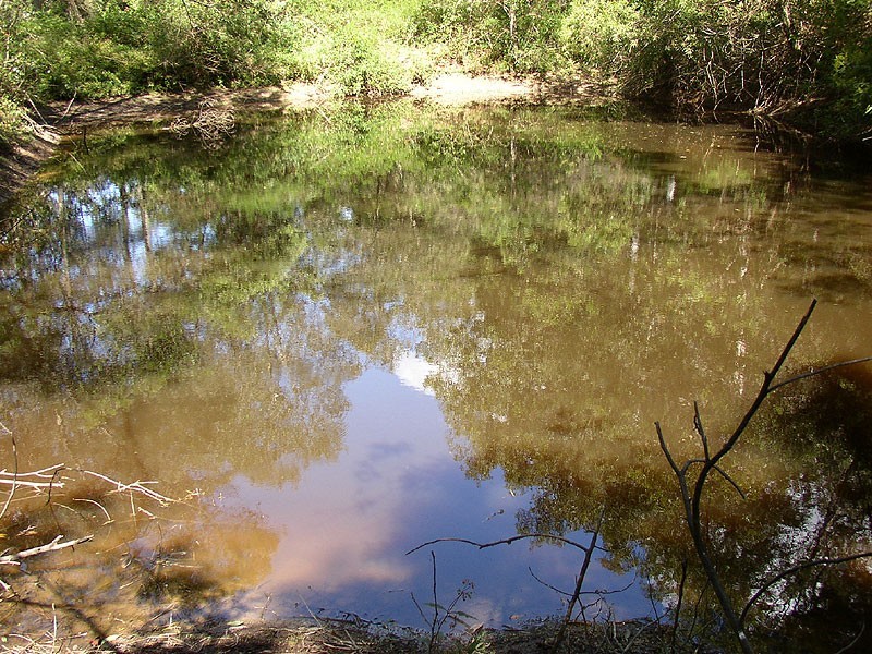 11 Martins Road, Bellingen NSW 2454