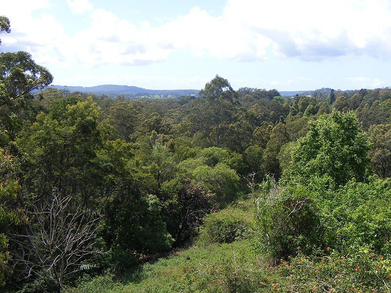 11 Martins Road, Bellingen NSW 2454