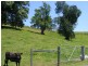 1331 Waterfall Way, Bellingen NSW 2454