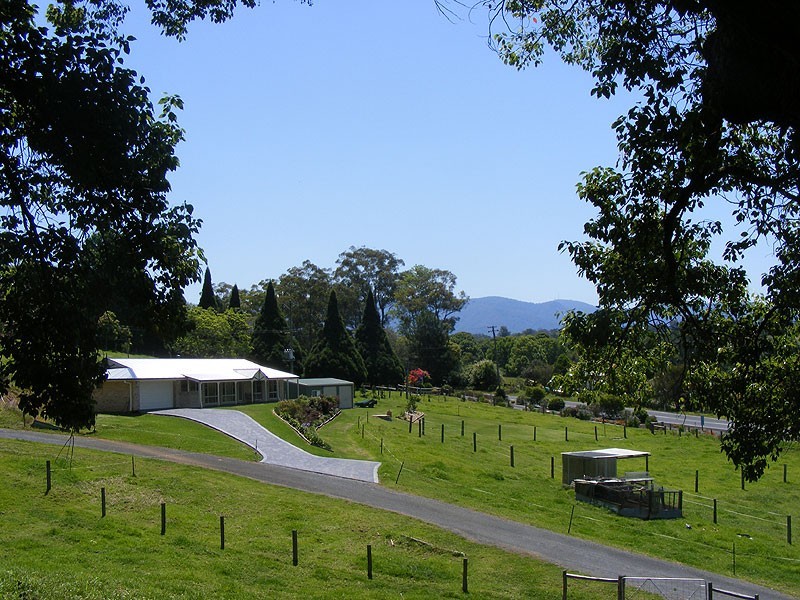 1331 Waterfall Way, Bellingen NSW 2454