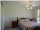 1331 Waterfall Way, Bellingen NSW 2454