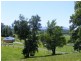 1331 Waterfall Way, Bellingen NSW 2454