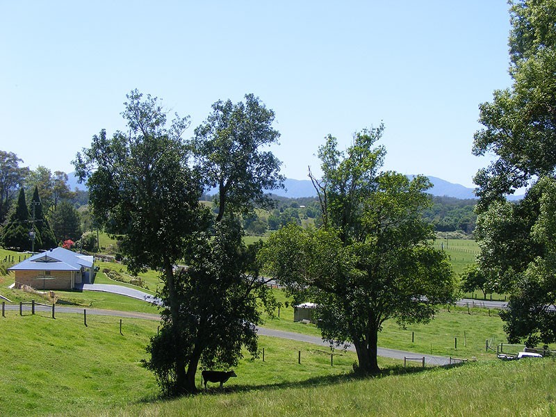 1331 Waterfall Way, Bellingen NSW 2454