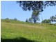 1331 Waterfall Way, Bellingen NSW 2454