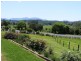 1331 Waterfall Way, Bellingen NSW 2454