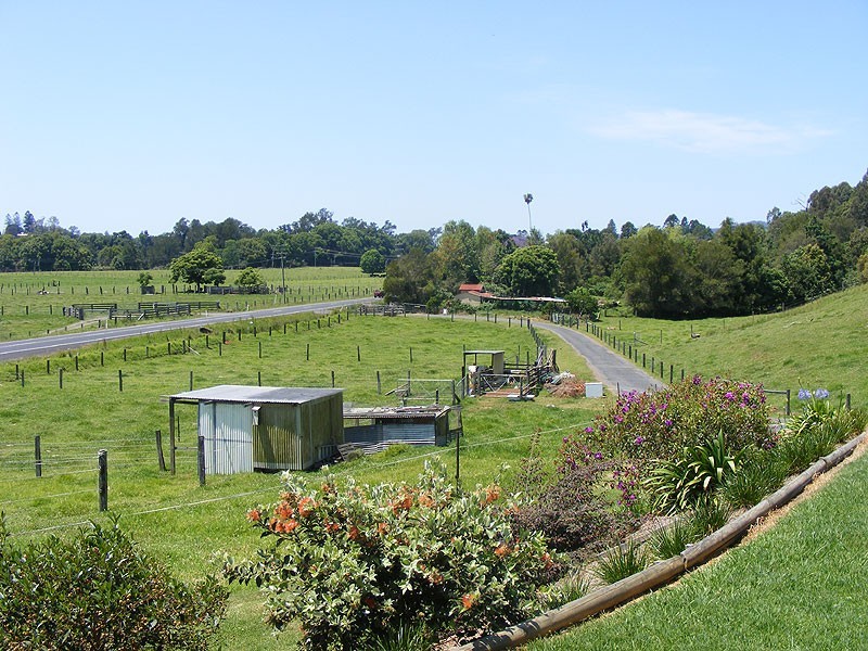 1331 Waterfall Way, Bellingen NSW 2454