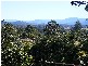 41 Lyon Street, Bellingen NSW 2454