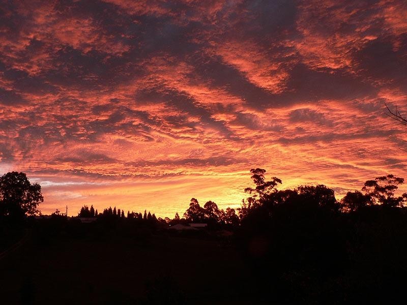 32 Lyon Street, Bellingen NSW 2454