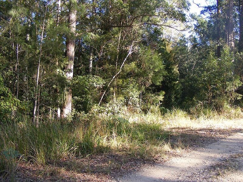 77 McGraths Rd, Thora NSW 2454