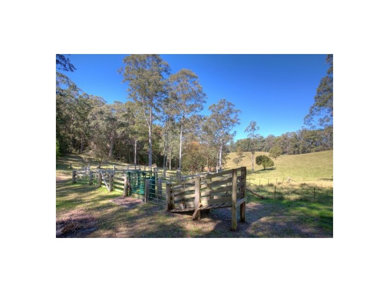 Bellingen NSW 2454