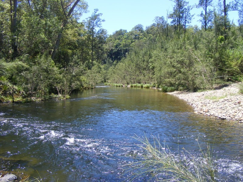 1951 Darkwood Road Thora, Bellingen NSW 2454