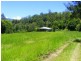 1951 Darkwood Road Thora, Bellingen NSW 2454