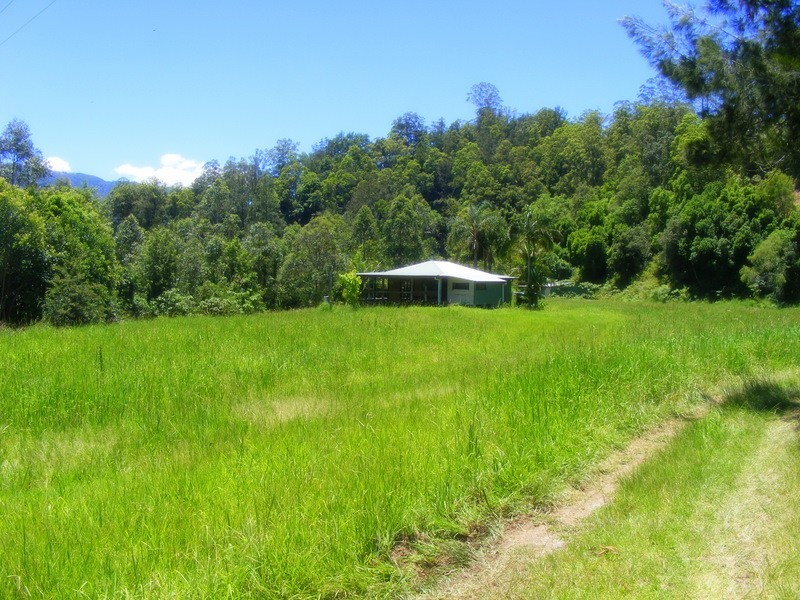 1951 Darkwood Road Thora, Bellingen NSW 2454