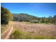 1951 Darkwood Road Thora, Bellingen NSW 2454