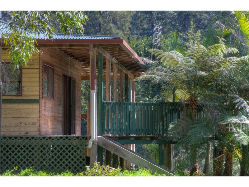 1951 Darkwood Road Thora, Bellingen NSW 2454