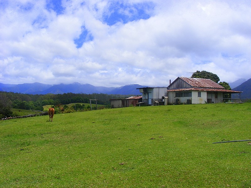 989 Valery Road Valery, Bellingen NSW 2454