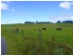 989 Valery Road Valery, Bellingen NSW 2454