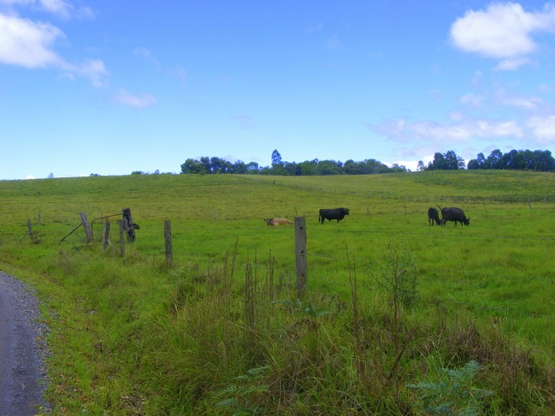 989 Valery Road Valery, Bellingen NSW 2454