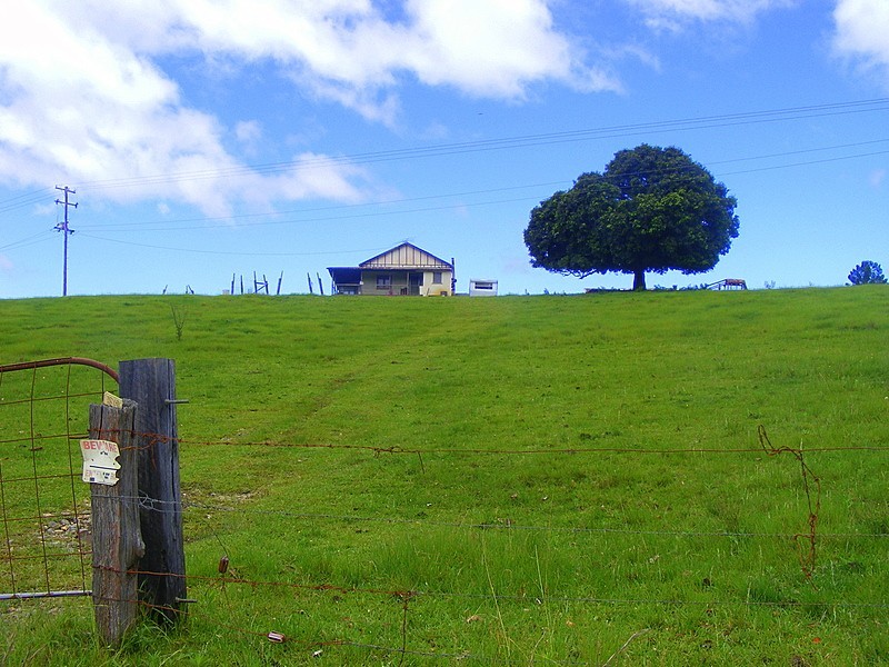 989 Valery Road Valery, Bellingen NSW 2454