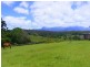 989 Valery Road Valery, Bellingen NSW 2454
