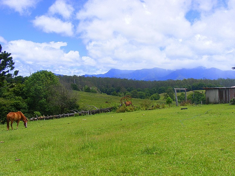 989 Valery Road Valery, Bellingen NSW 2454
