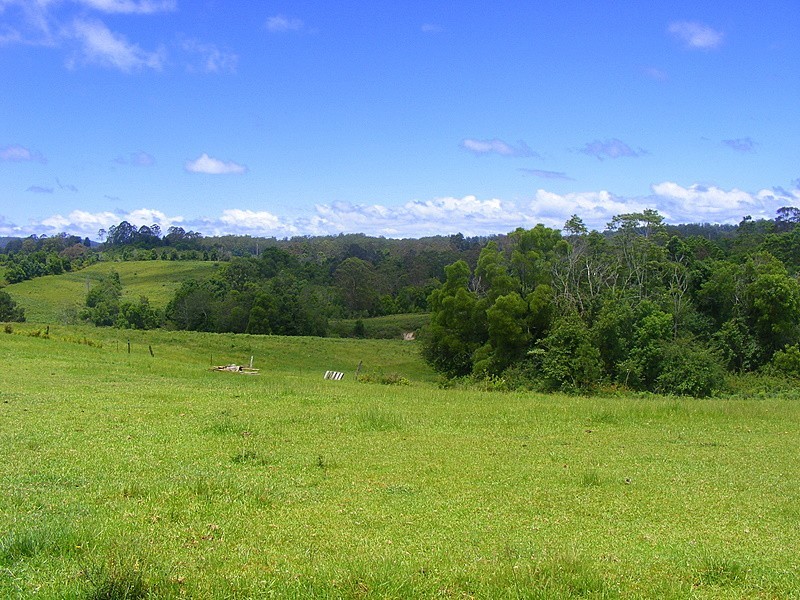 989 Valery Road Valery, Bellingen NSW 2454