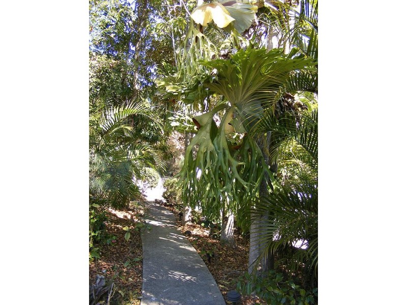 69 Henry Boultwood Drive, Bellingen NSW 2454