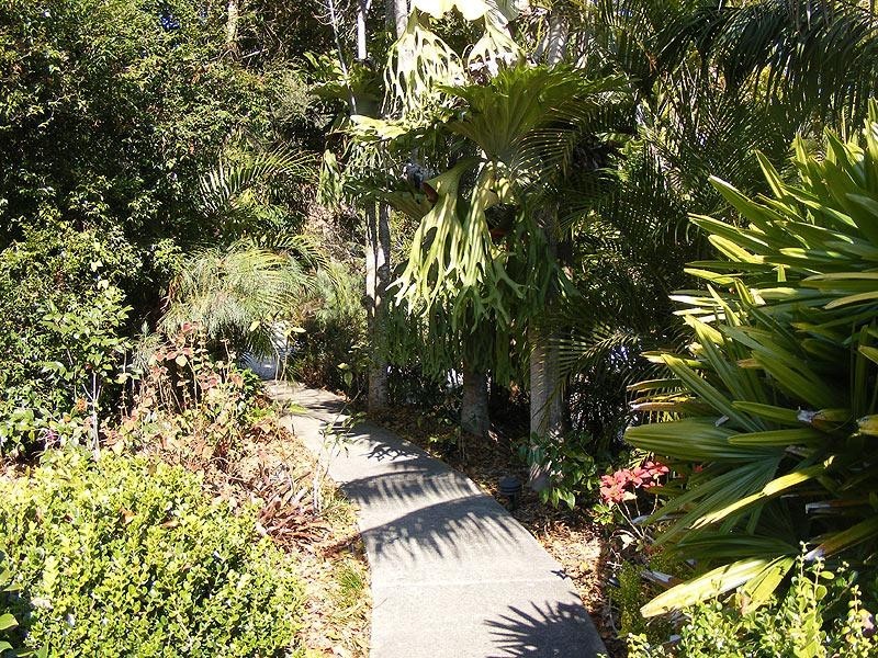 69 Henry Boultwood Drive, Bellingen NSW 2454